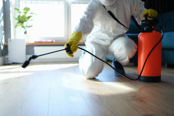 Reliable Blood Cleanup contractor in Dayton, NV by Dulley Family Biohazard Services